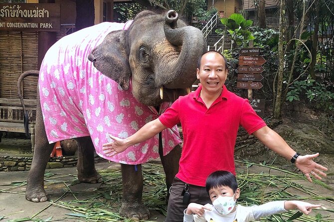 Half Day Car Hire with an English Speaking Driver in Chiang Mai - What the driver can and cannot do