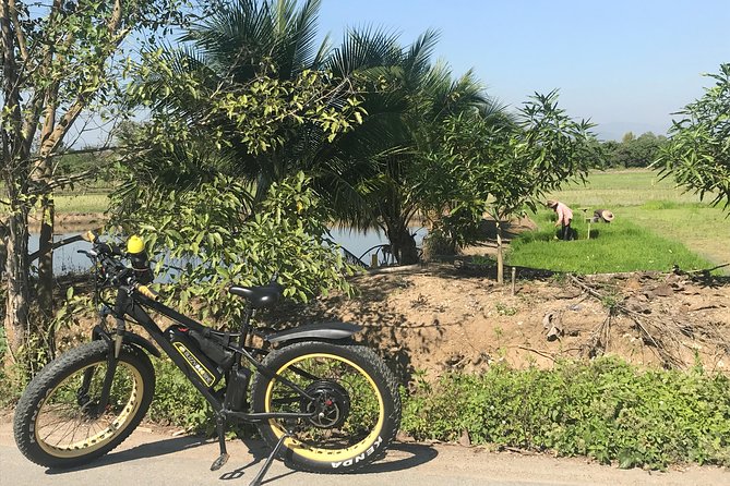 Half-day E-bike Countryside and rice paddies (flat land, GUIDED) - Wat Ton Kwen and the Lanna beginning