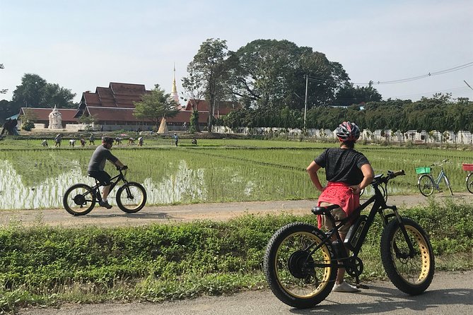 Half-day E-bike Countryside and rice paddies (flat land, GUIDED) - Rice paddies, orchards, and village roads