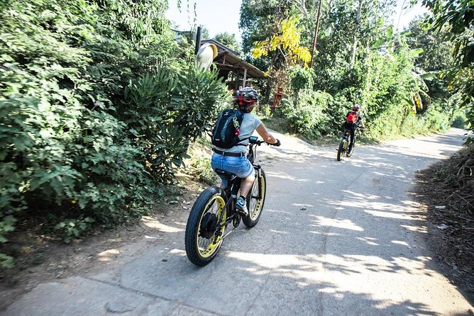 Half-day E-bike Countryside and rice paddies (flat land, GUIDED) - The Ping River and Wat Chang Nam