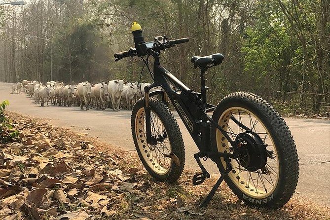Half-day E-bike Nam Phrae (hilly, fully paved roads, GUIDED) - How demanding is the 35 to 40 kilometer route?