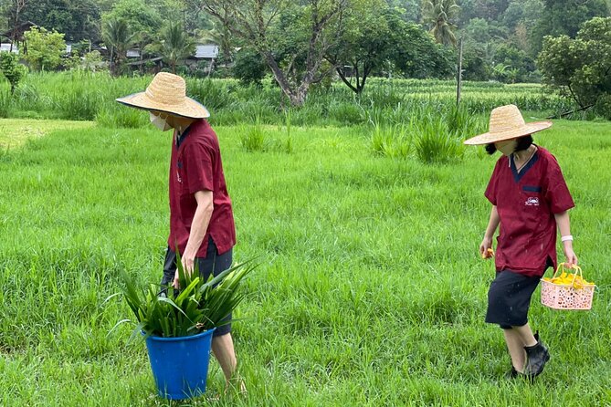 Half-Day Elephant Experience at Rantong - Thai food closes the visit