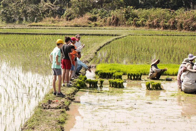 Half-Day Lanna Countryside Cycling Tour in Chiang Mai - Riding through rice fields and stilt houses