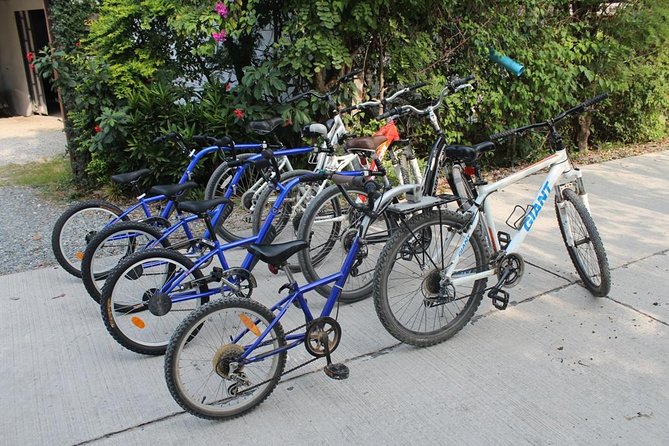 Half-Day Lanna Countryside Cycling Tour in Chiang Mai - The village school and daily life beyond the fields