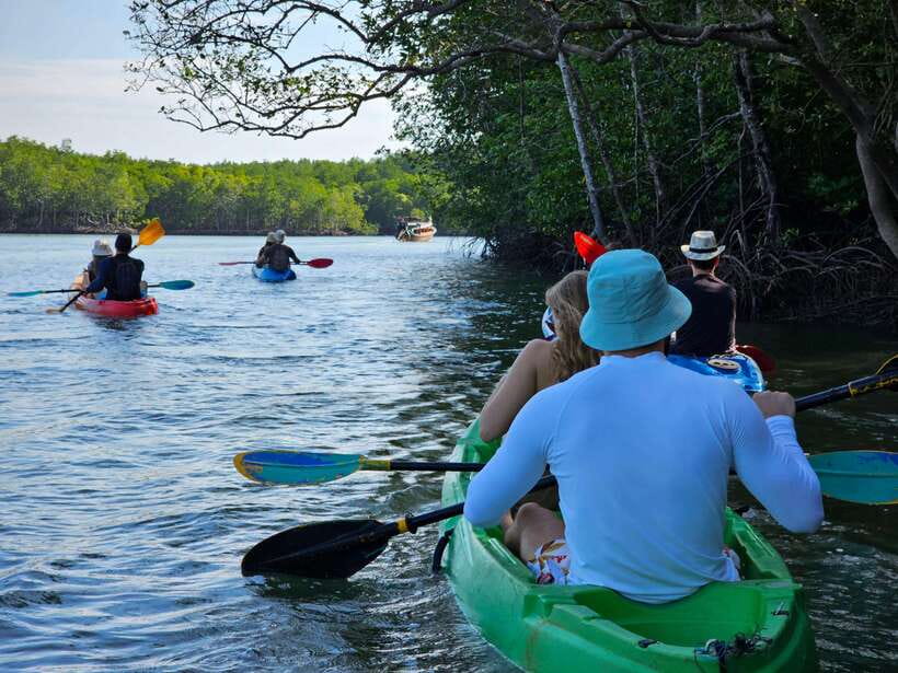 Half Day Mangrove Forest (Morning or Afternoon) - Key points to know before booking