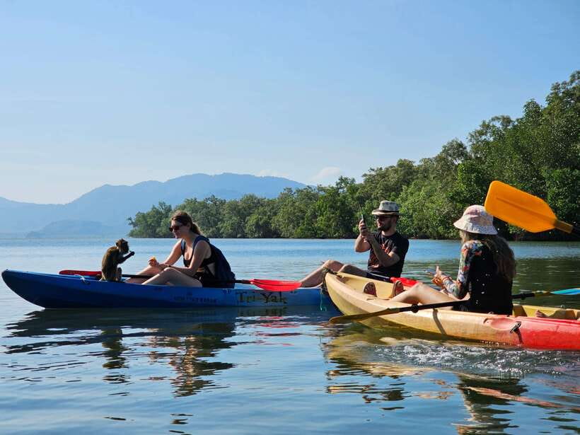 Half Day Mangrove Forest (Morning or Afternoon) - Why the Thung Yee Peng mangroves are worth your time