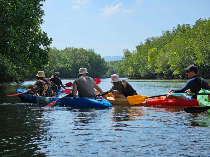 Half Day Mangrove Forest (Morning or Afternoon) - What the $27 price really covers