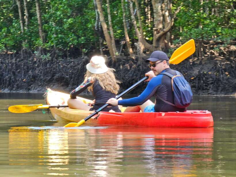 Half Day Mangrove Forest (Morning or Afternoon) - Who will enjoy this outing most