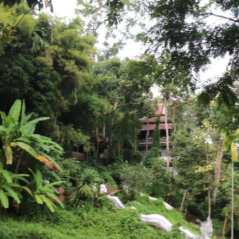Half Day Morning Wat Pha Lat & Wat Phra That Doi Suthep Tour - Timing, transport, and the real value of $24