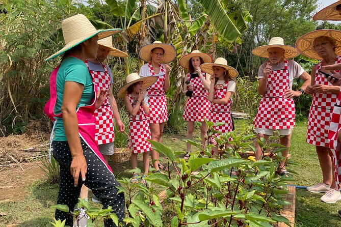 Half-Day Thai Cooking Class at Organic Farm in Chiang Mai - Key points to know before booking