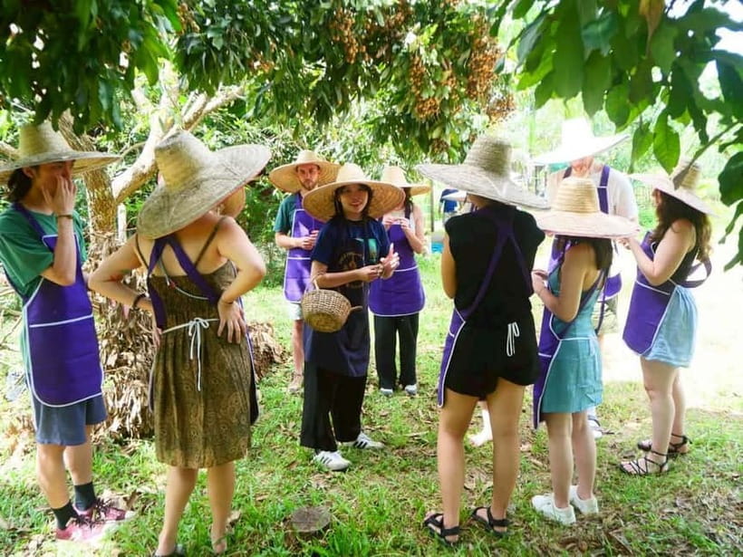 Half-Day Thai Cooking Class on a Local Farm Near Chiang Mai - Key points at a glance