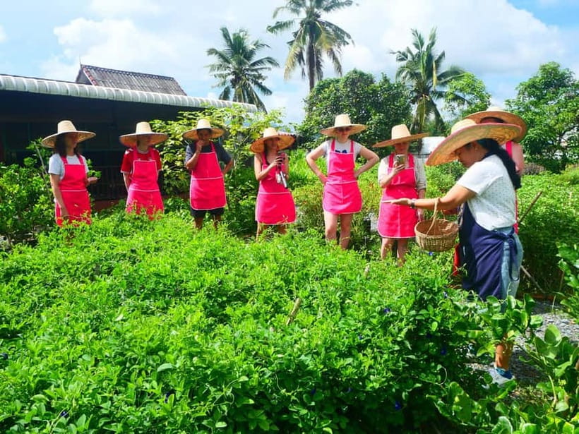 Half-Day Thai Cooking Class on a Local Farm Near Chiang Mai - Should you book Smile Organic Farm Cooking School?