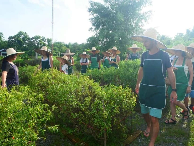 Half-Day Thai Cooking Class on a Local Farm Near Chiang Mai - Picking mangoes and longans in season
