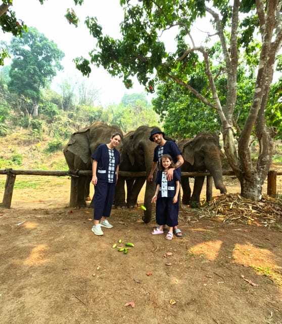 Half-day with CHIANGMAI ELEPHANT CARE program (12pm-6pm.) - Who should book this experience?