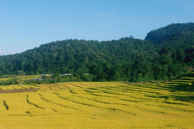 Inthanon Day Trip from Chiang Mai with Lunch - Group or Private - Doi Inthanon peak and Ang Ka’s cool forest