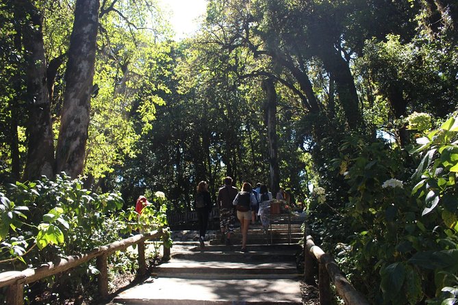 Inthanon Day Trip from Chiang Mai with Lunch - Group or Private - Lunch in the national park