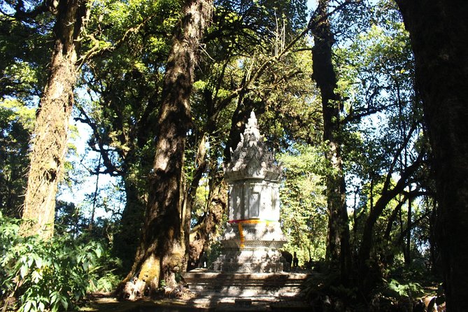 Inthanon Day Trip from Chiang Mai with Lunch - Group or Private - Weather, clothing, and physical demands