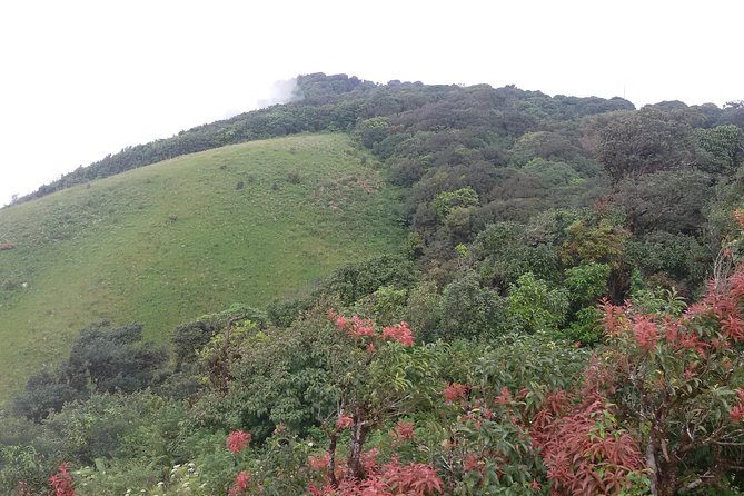 Inthanon Small-Group with Kew Mae Pan Trail from Chiang Mai include Lunch - Why Doi Inthanon makes a worthwhile day trip