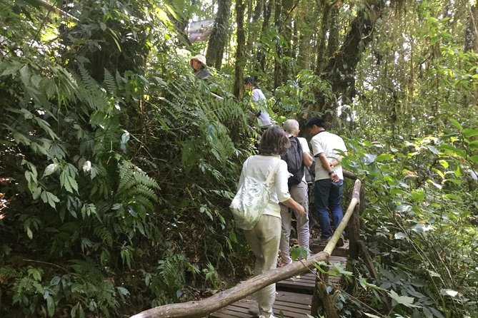 Inthanon Small-Group with Kew Mae Pan Trail from Chiang Mai include Lunch - Kew Mae Pan Trail is the main reason to choose this tour