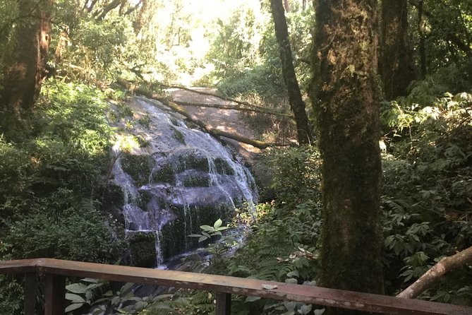 Inthanon Small-Group with Kew Mae Pan Trail from Chiang Mai include Lunch - Group size and guide quality shape the day