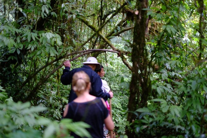 Inthanon Small-Group with Kew Mae Pan Trail from Chiang Mai include Lunch - Is $113.39 fair value for a full day?