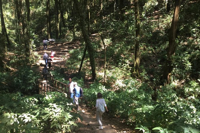 Inthanon Small-Group with Kew Mae Pan Trail from Chiang Mai include Lunch - Mae Klang Luang connects coffee, terraces, and village life