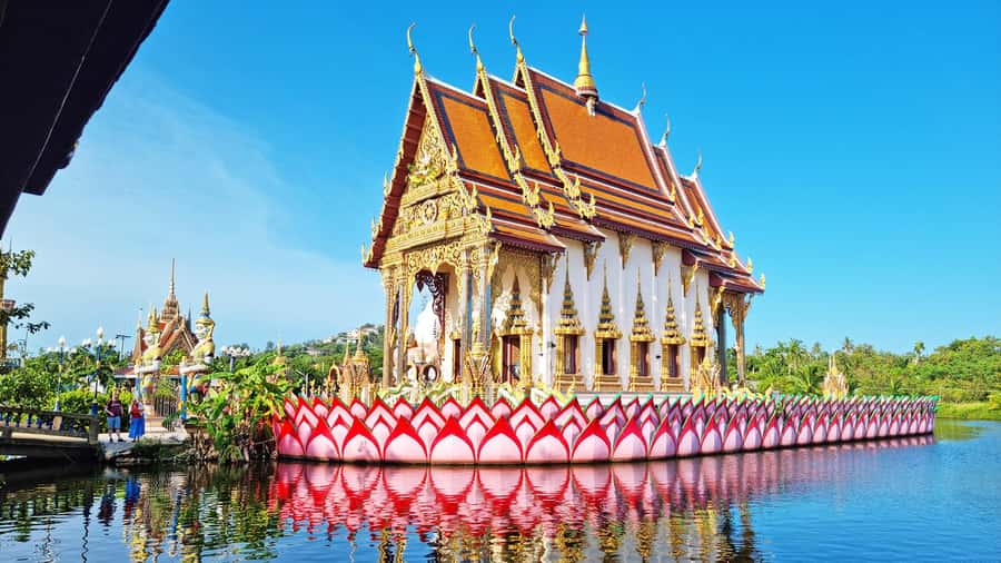ISLAND TOUR ECO AROUND KOH SAMUI HALF DAY RARE SIGHTSEEING - Na Muang Waterfall 1: a natural pool and a difficult question
