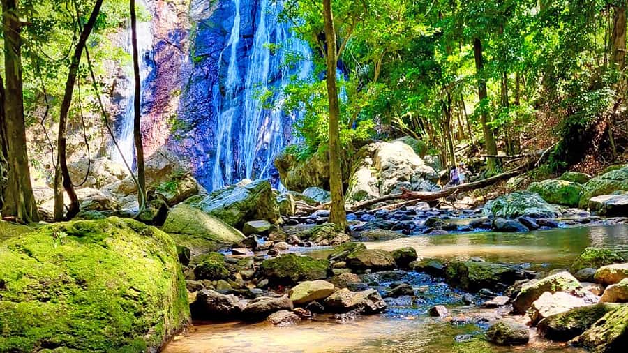 ISLAND TOUR ECO AROUND KOH SAMUI HALF DAY RARE SIGHTSEEING - Guides, transport, and the small-group advantage