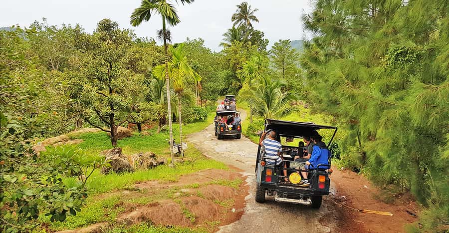 Jeep Tour Koh Samui Jungle Safari Full Day Adventure - What this Koh Samui safari is really like