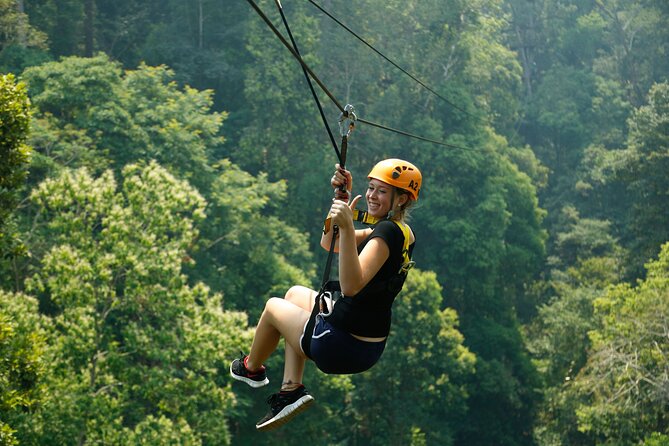 Jungle Flight Zipline Roller Coaster - Is $91.27 a fair price?