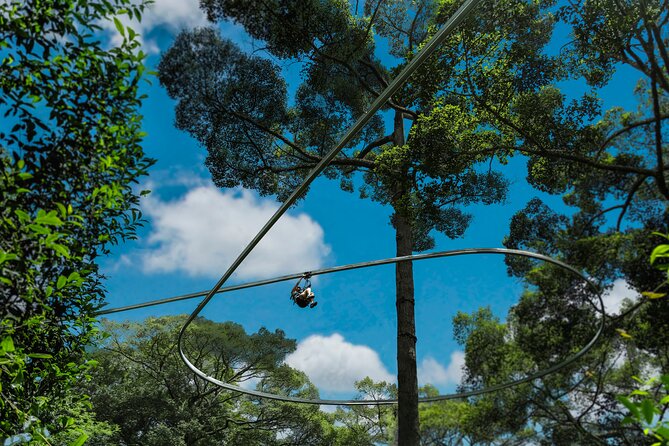 Jungle Flight Zipline Roller Coaster - What to bring and how to prepare