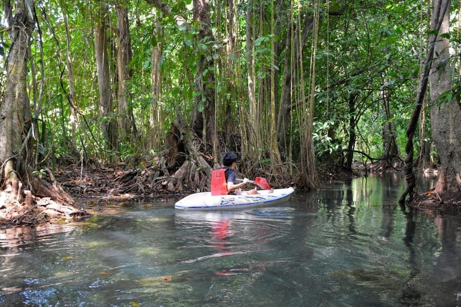 Kayaking and swiming klongrood - Paddling through rainforest and rubber trees