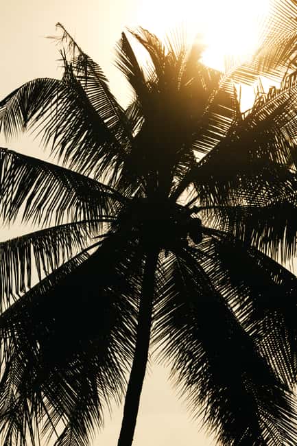 Khao Lak: 1.5-Hour Small Group Surfing Experience - Who should book this Khao Lak surf lesson?