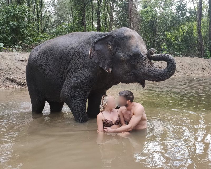Khao Lak: Elephant Bathing and Turtle Center Visit - Price, value, and what you actually receive