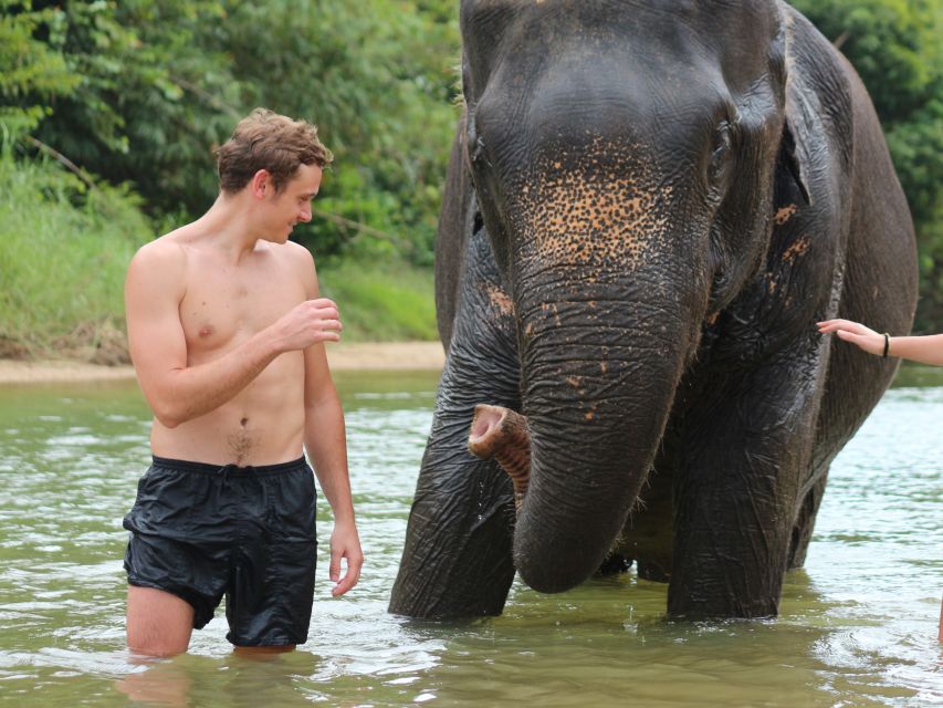 Khao Lak: Elephant Bathing and Turtle Center Visit - Meeting the elephants at the park