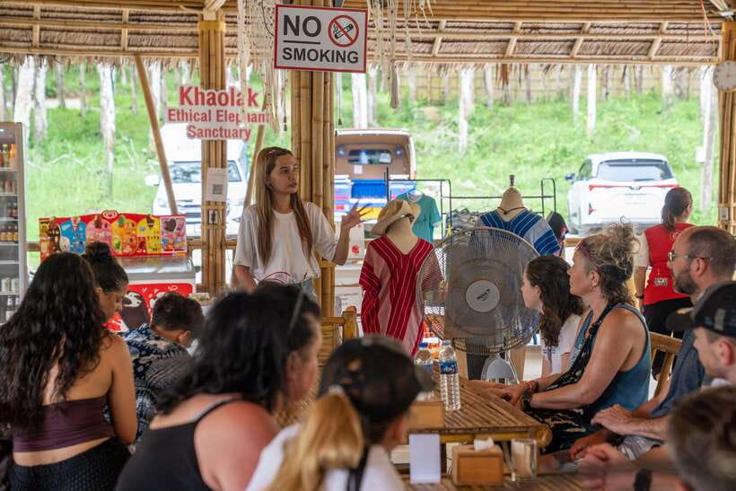 Khao Lak Guided Nature Walk & Elephant Experience - Transport from Khao Lak or Phuket