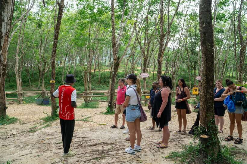Khao Lak Guided Nature Walk & Elephant Experience - Who will enjoy this experience most?