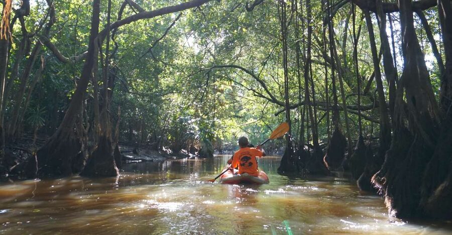 Khao Lak: Little Amazon Canoe Ride & Tam Nang Waterfall Tour - Key points to know before you book