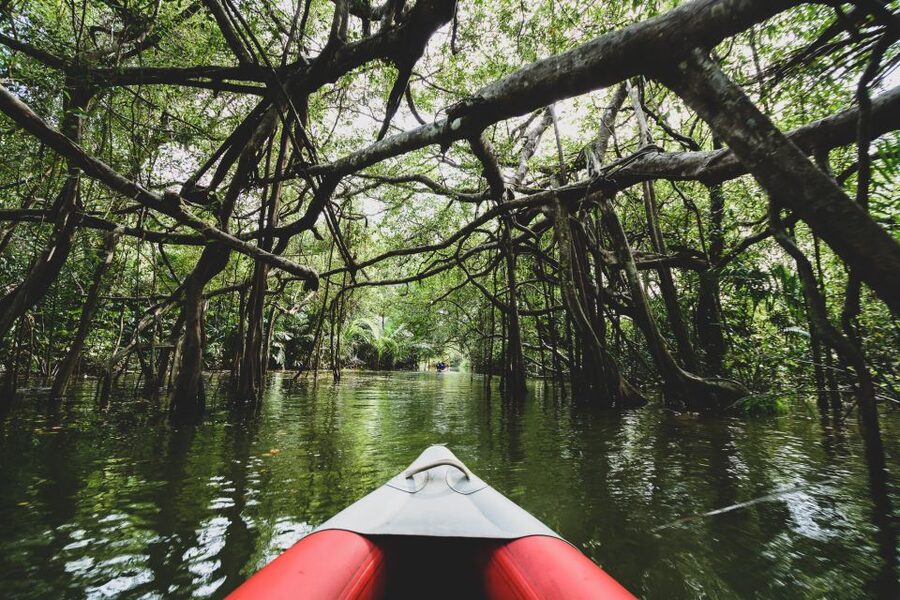 Khao Lak: Little Amazon Canoe Ride & Tam Nang Waterfall Tour - Should you book the Little Amazon and Tam Nang tour?