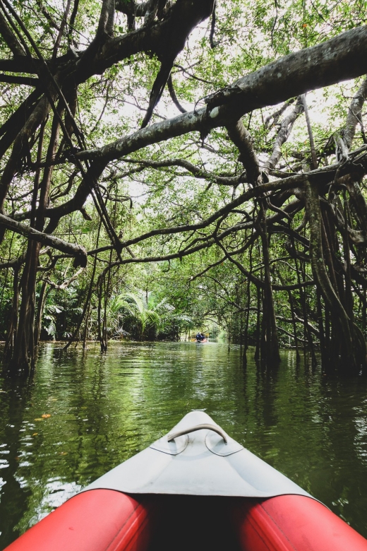 Khao Lak: Little Amazon Canoe Ride & Tam Nang Waterfall Tour - Rainy-season changes and safety