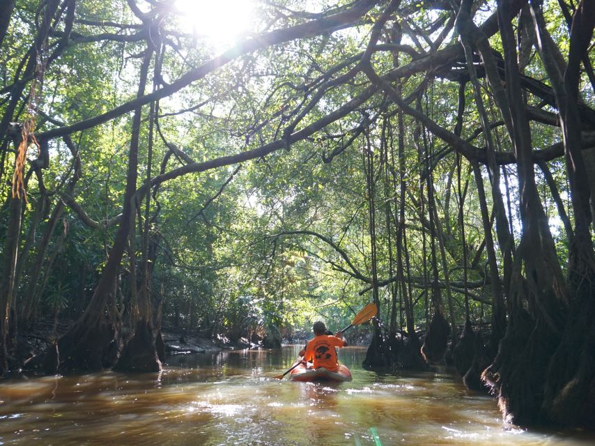 Khao Lak: Little Amazon Canoe Ride & Tam Nang Waterfall Tour - Who will enjoy this tour most?