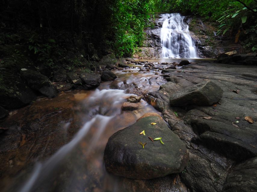 Khao Lak: Little Amazon Canoe Ride & Tam Nang Waterfall Tour - The Little Amazon canoe ride