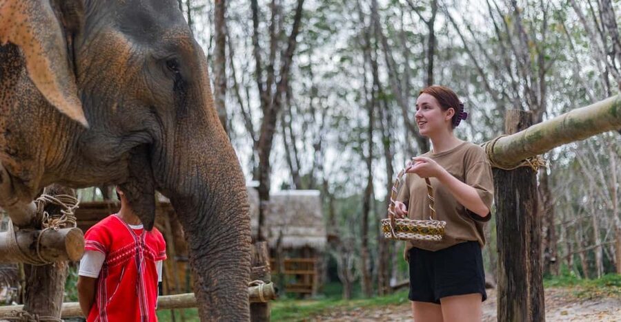Khao Lak’s Best: Elephant Sanctuary,Rubber Tapping&Waterfall - Key points to know before you book