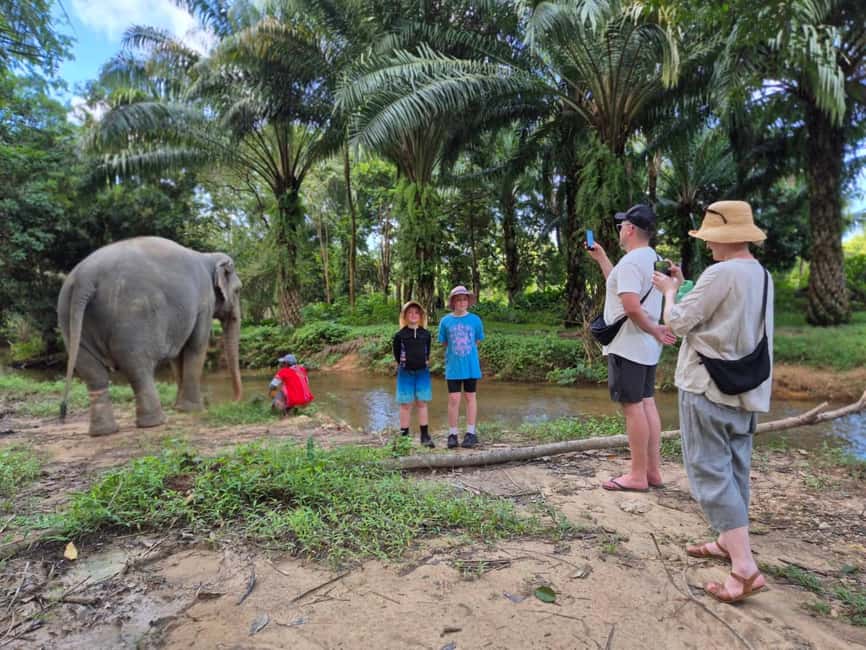 Khao Lak: Waterfall,Sea Turtle,Elephant Care,Meal & Transfer - Why this Khao Lak half-day works