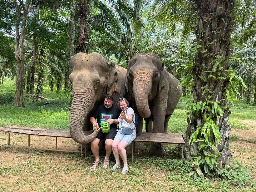 Khao Sok: Ethical Elephant Experience & Nature Walk - Practical advice for making the visit count