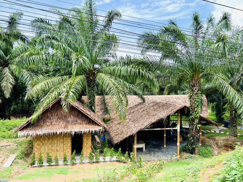 Khao Sok: Ethical Elephant Sanctuary Visit - What the $41 price buys you