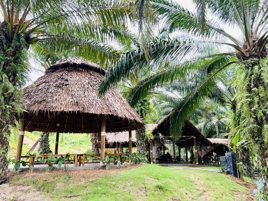 Khao Sok: Ethical Elephant Sanctuary Visit - Feeding elephants and learning their behavior