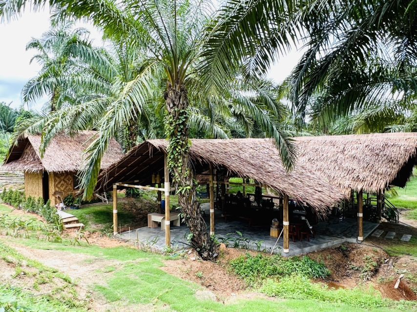 Khao Sok: Ethical Elephant Sanctuary Visit - Meeting Dan and hearing the conservation story