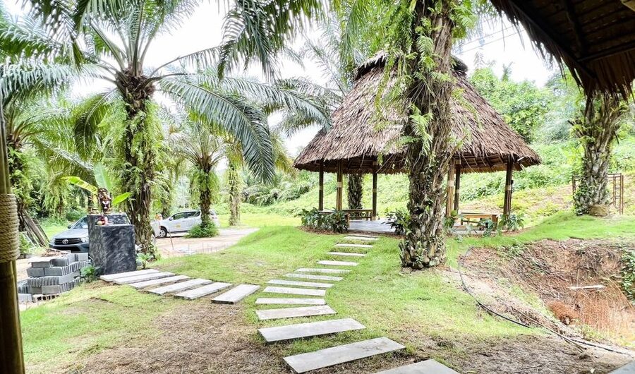 Khao Sok: Ethical Elephant Sanctuary Visit - Transport and where this activity works best
