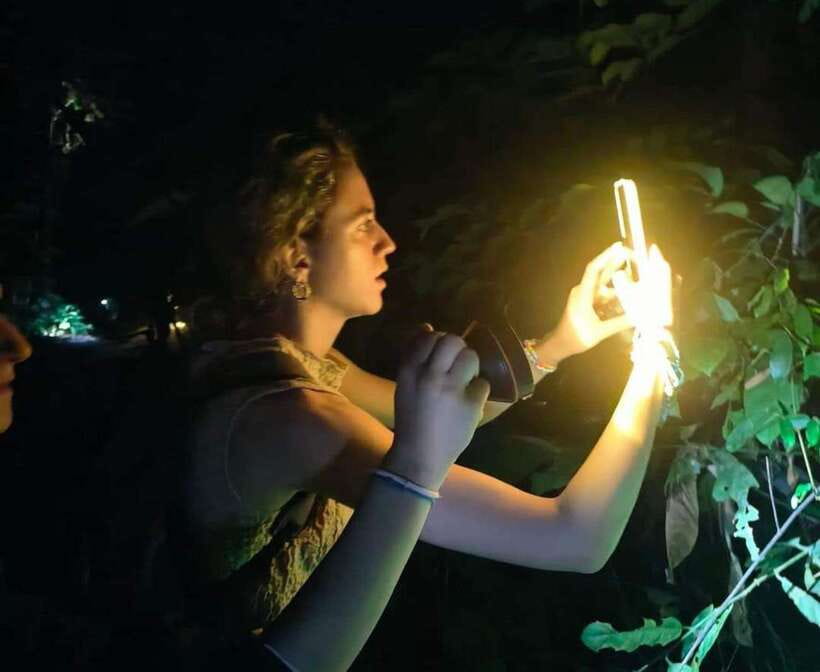 Khao Sok: Private Night Safari Adventure w/ Hotel Transfer - Key points at a glance